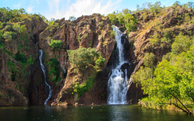 Darwin: A Nature Lover’s Paradise
